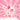Papablic Toddler Sonic Electric Toothbrush - Doris