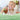 Papablic Toddler Sonic Electric Toothbrush - Max